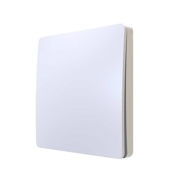 Quinetic -switch-1-gang-white